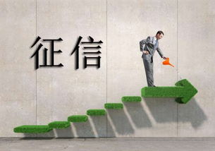 借貸寶是否上征信？互聯(lián)網(wǎng)接入及相關(guān)服務(wù)解析